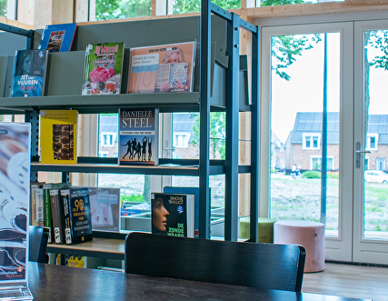 Boeken, tijdschriften en andere materialen lezen en lenen